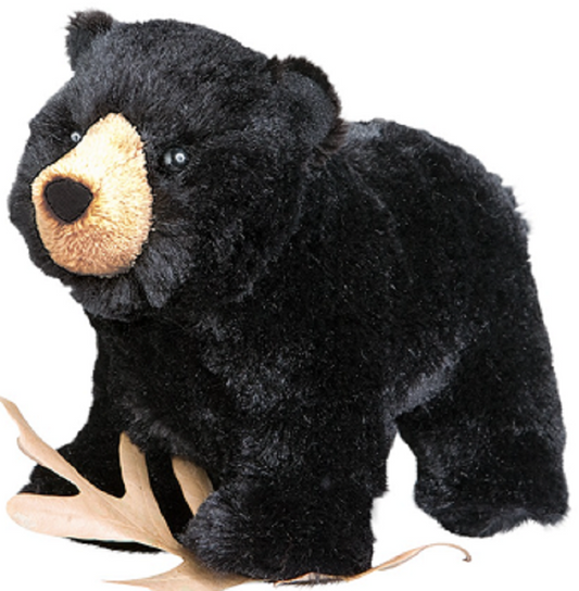 Morley the Black Bear