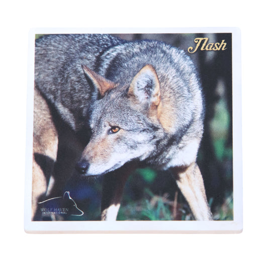 Ceramic Wolf Coaster