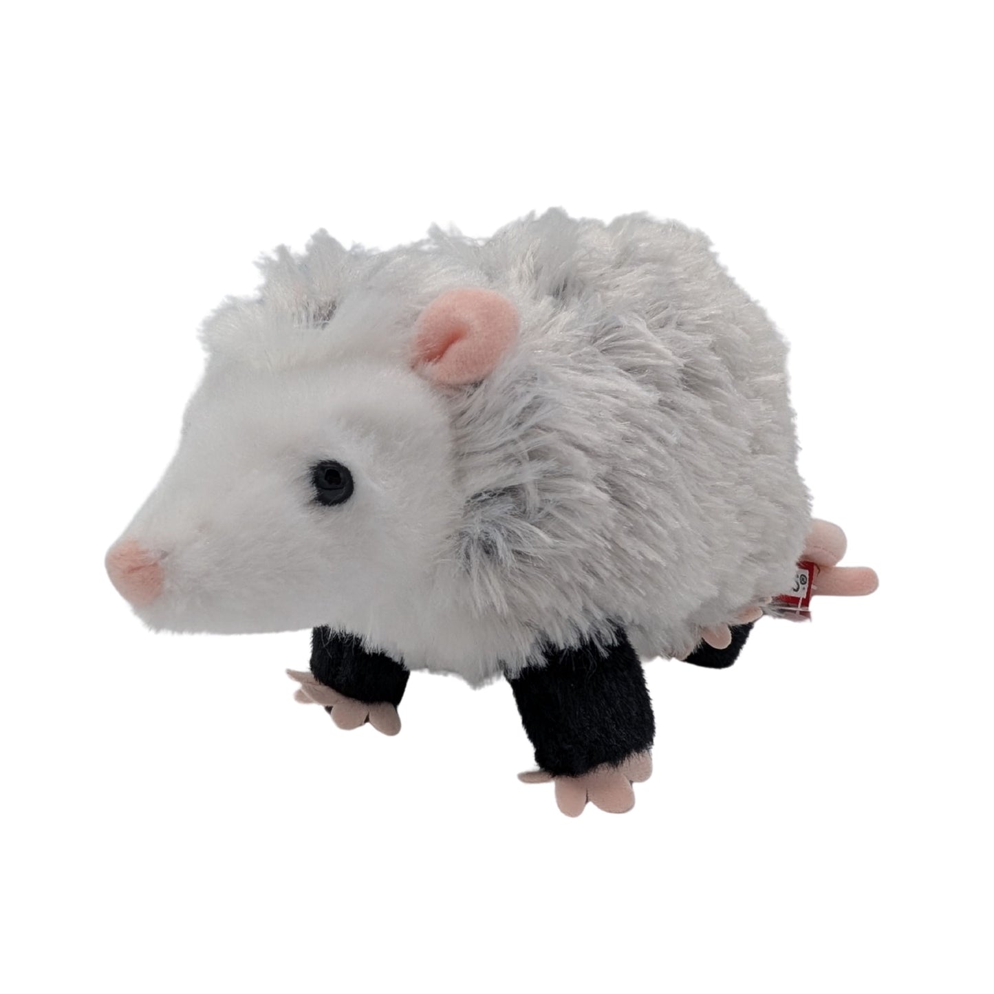 Oliver the Opossum