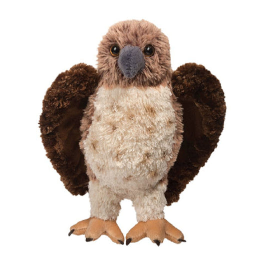 Orion the Red-Tailed Hawk