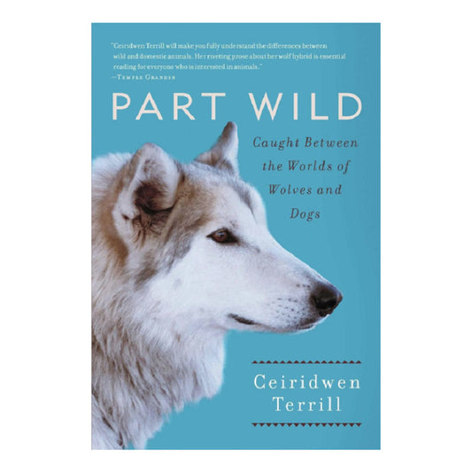 Part Wild: Caught Between the Worlds of Wolves and Dogs