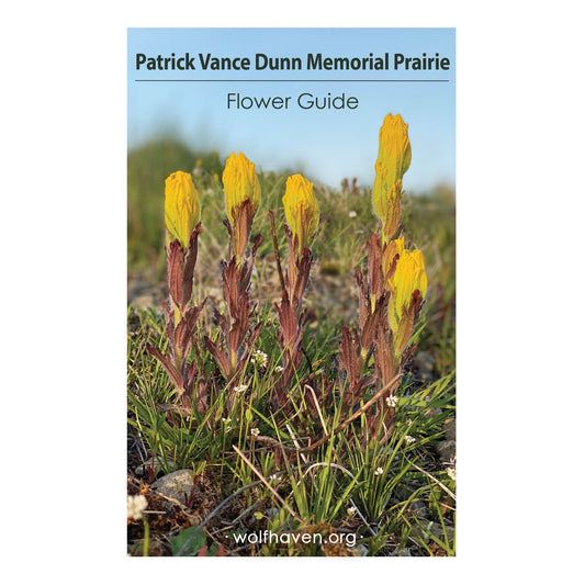 Prairie Flowers Booklet