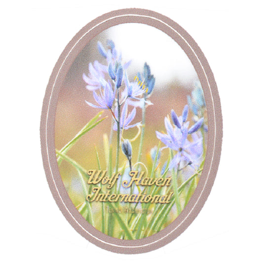 Small Die Cut Vinyl Prairie Sticker