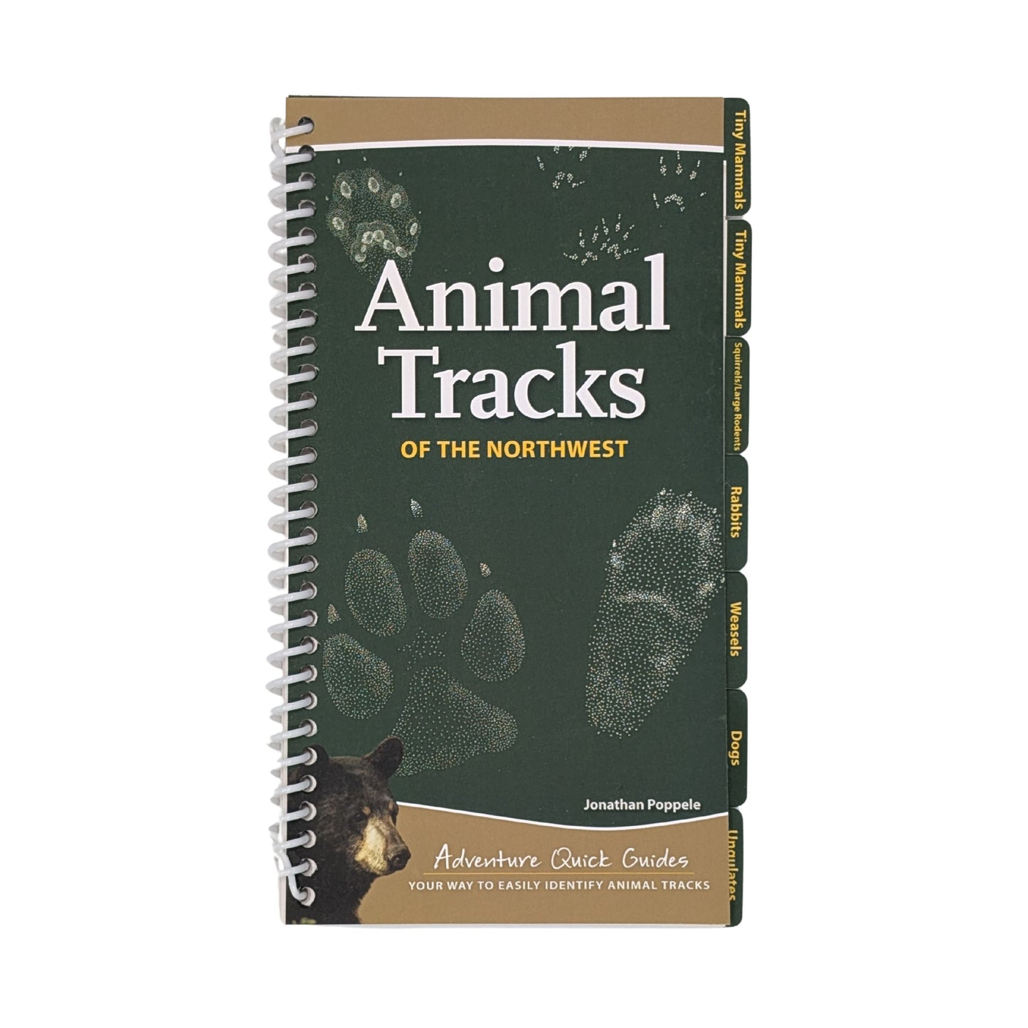 Adventure Quick Guides