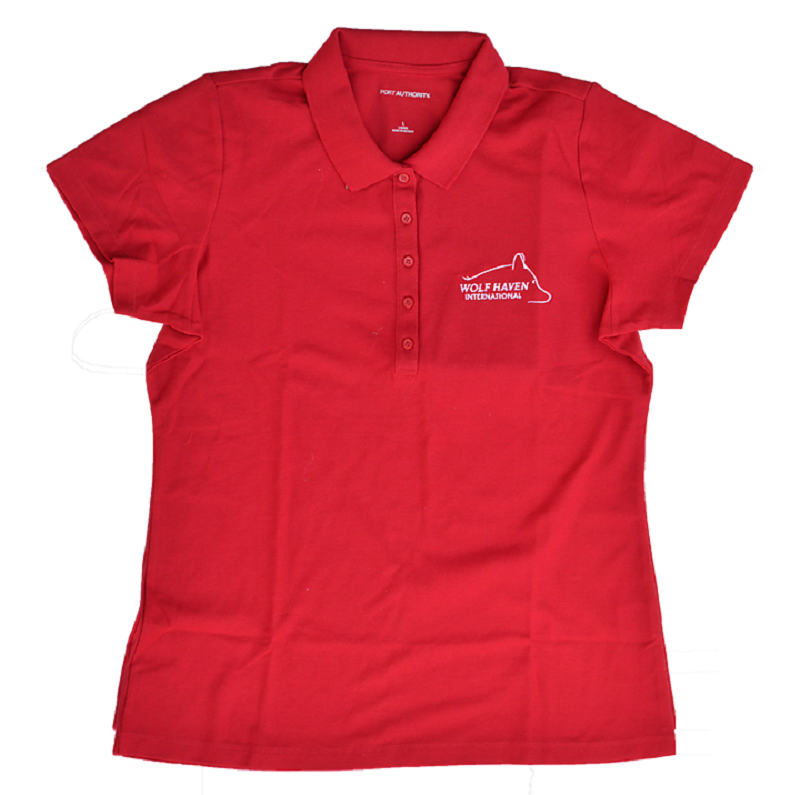 Polo Shirt with Embroidered Classic Logo