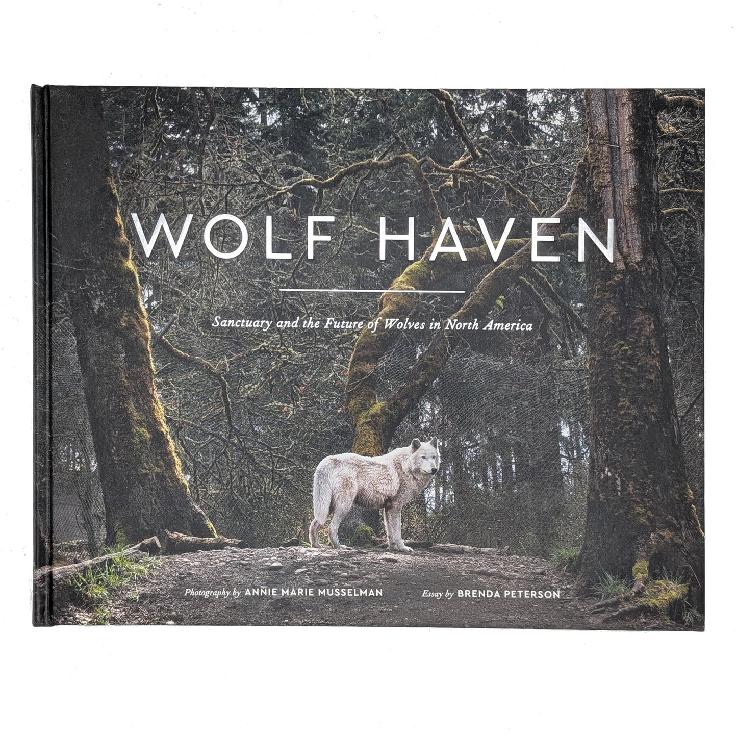 Wolf Haven: Sanctuary and the Future of Wolves in North America