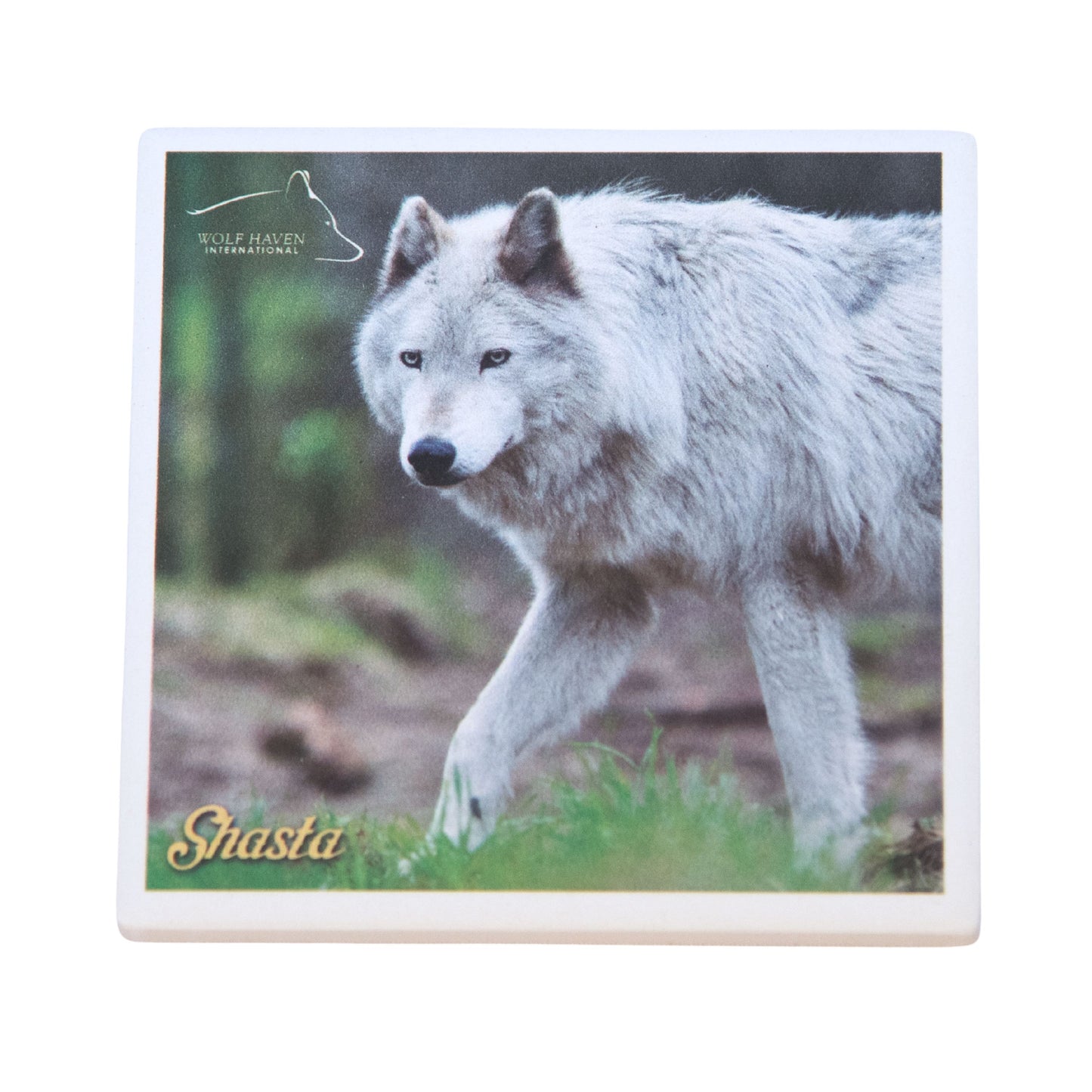 Ceramic Wolf Coaster