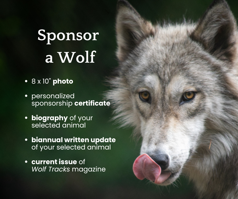 Sponsor a Wolf