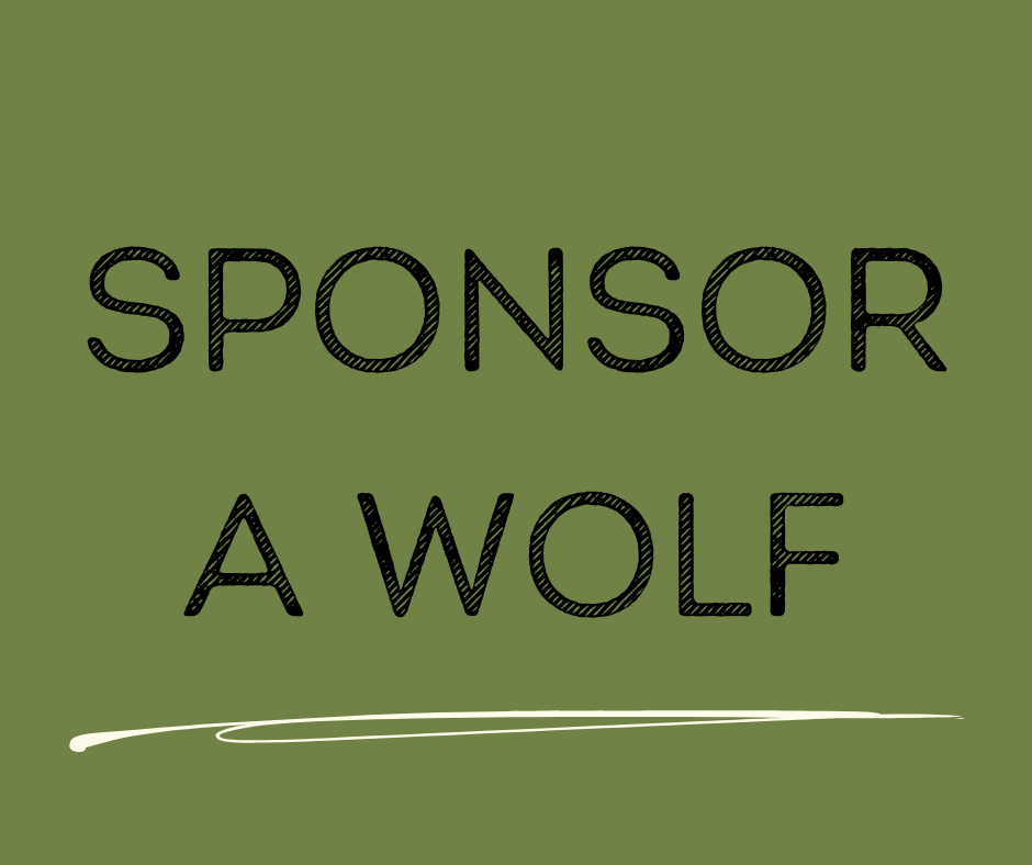 Sponsor a Wolf