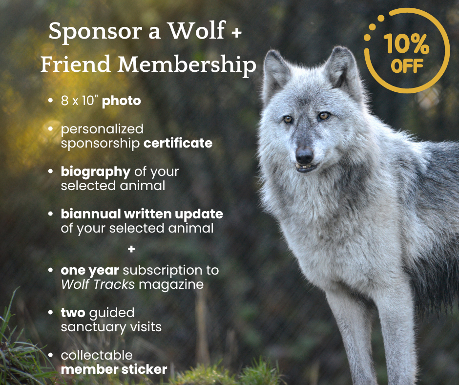 Sponsor a Wolf