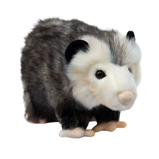 Ozzy the Opossum