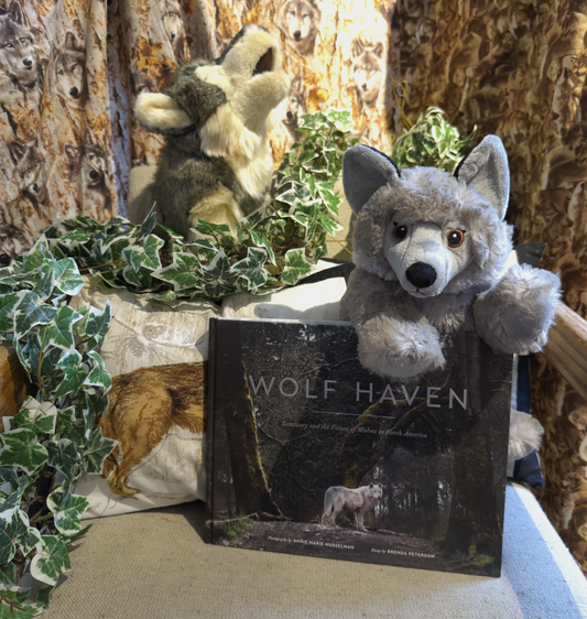 Wolf Haven: Sanctuary and the Future of Wolves in North America