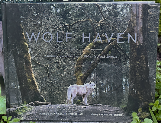 Wolf Haven: Sanctuary and the Future of Wolves in North America