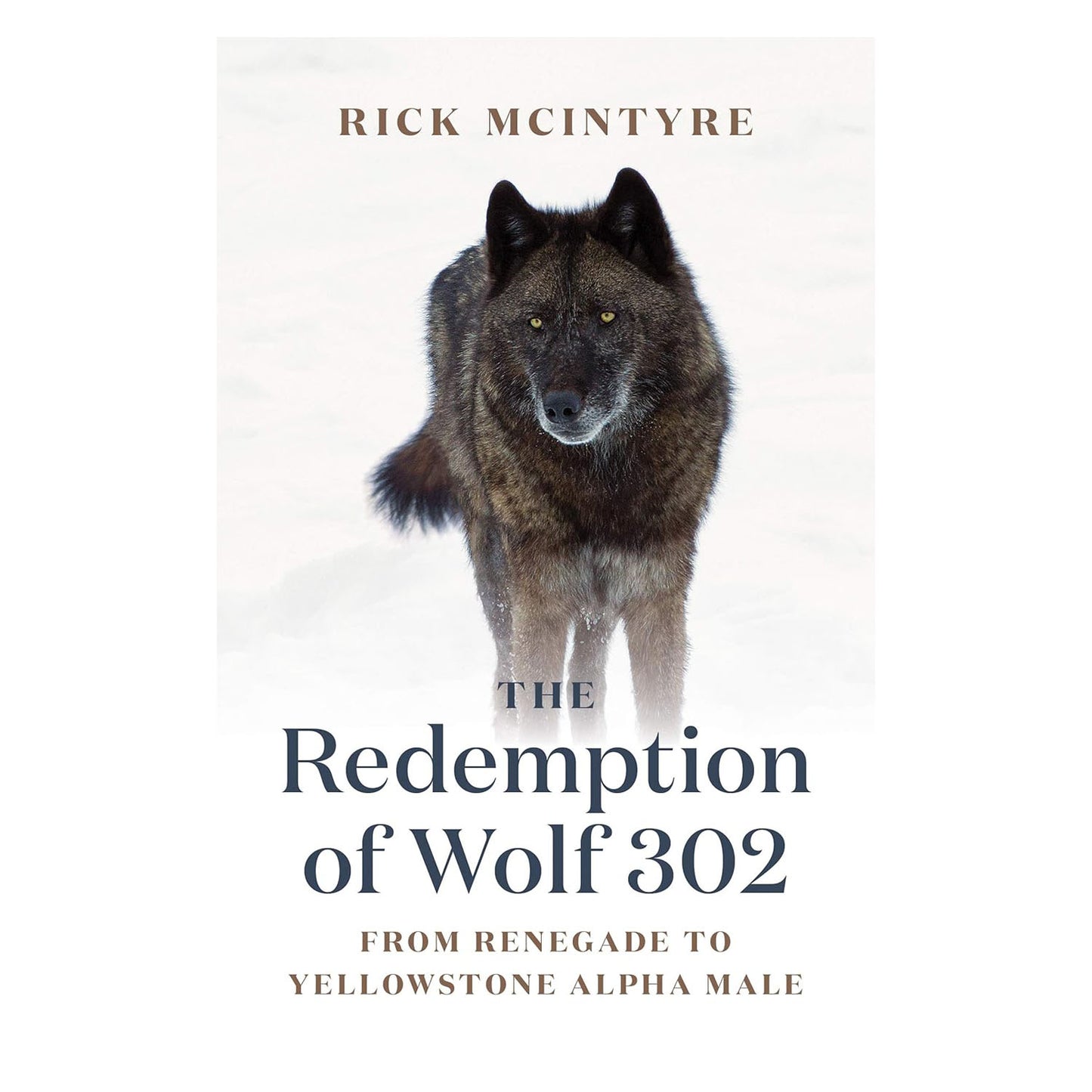 The Alpha Wolves of Yellowstone Series