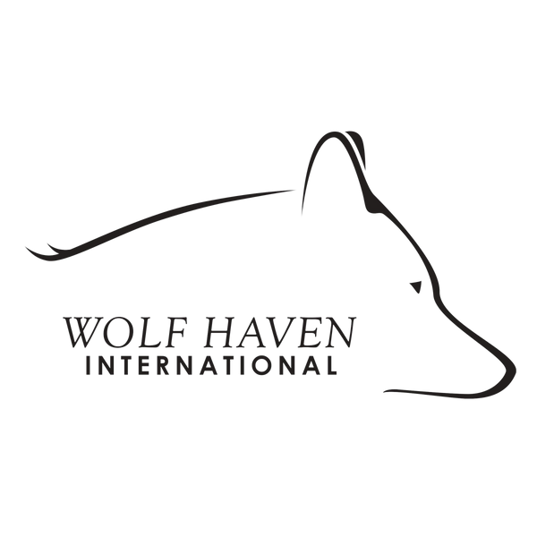 Wolf Haven International