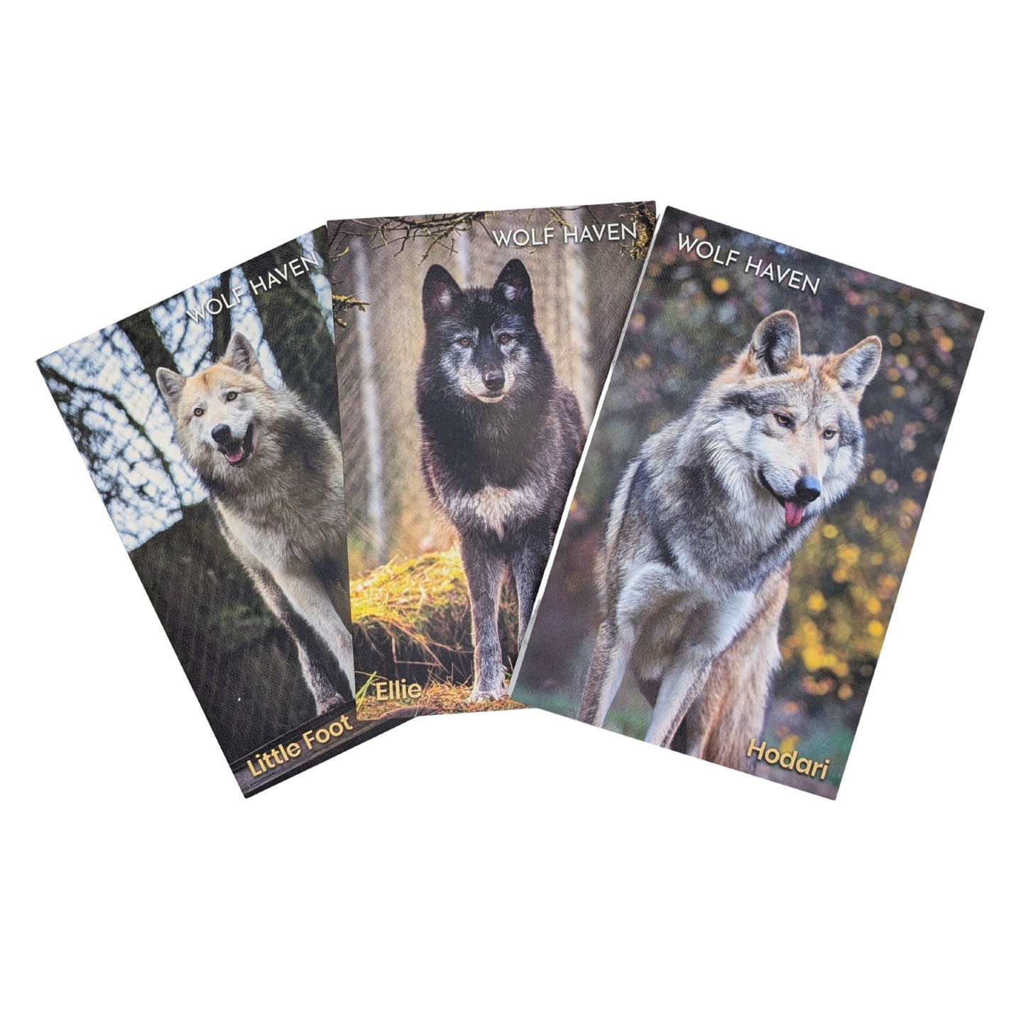 Hardcover Lined Journal