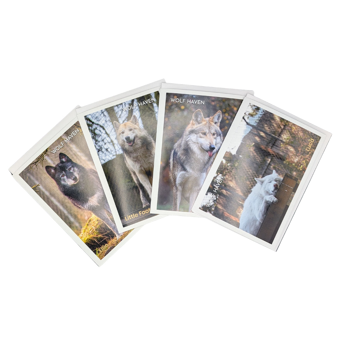 Wolf Sticky Note Paper Notecard – Wolf Haven International