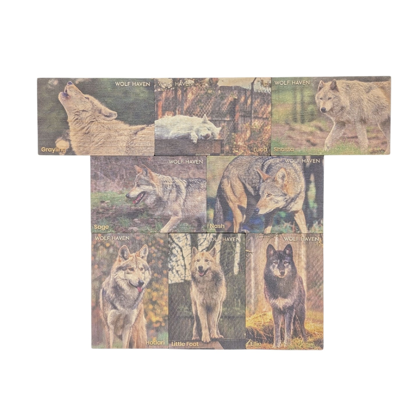 Resident Wolf Wood Magnet