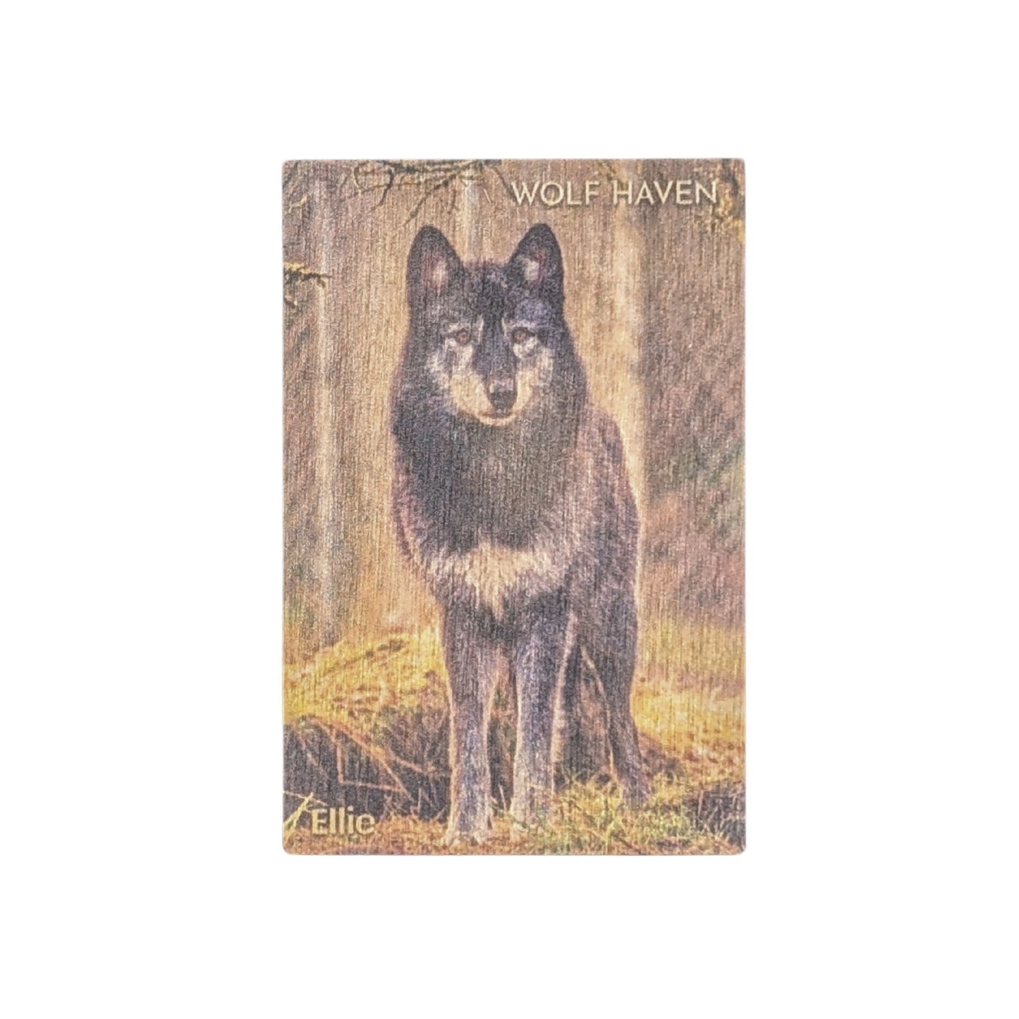 Resident Wolf Wood Magnet