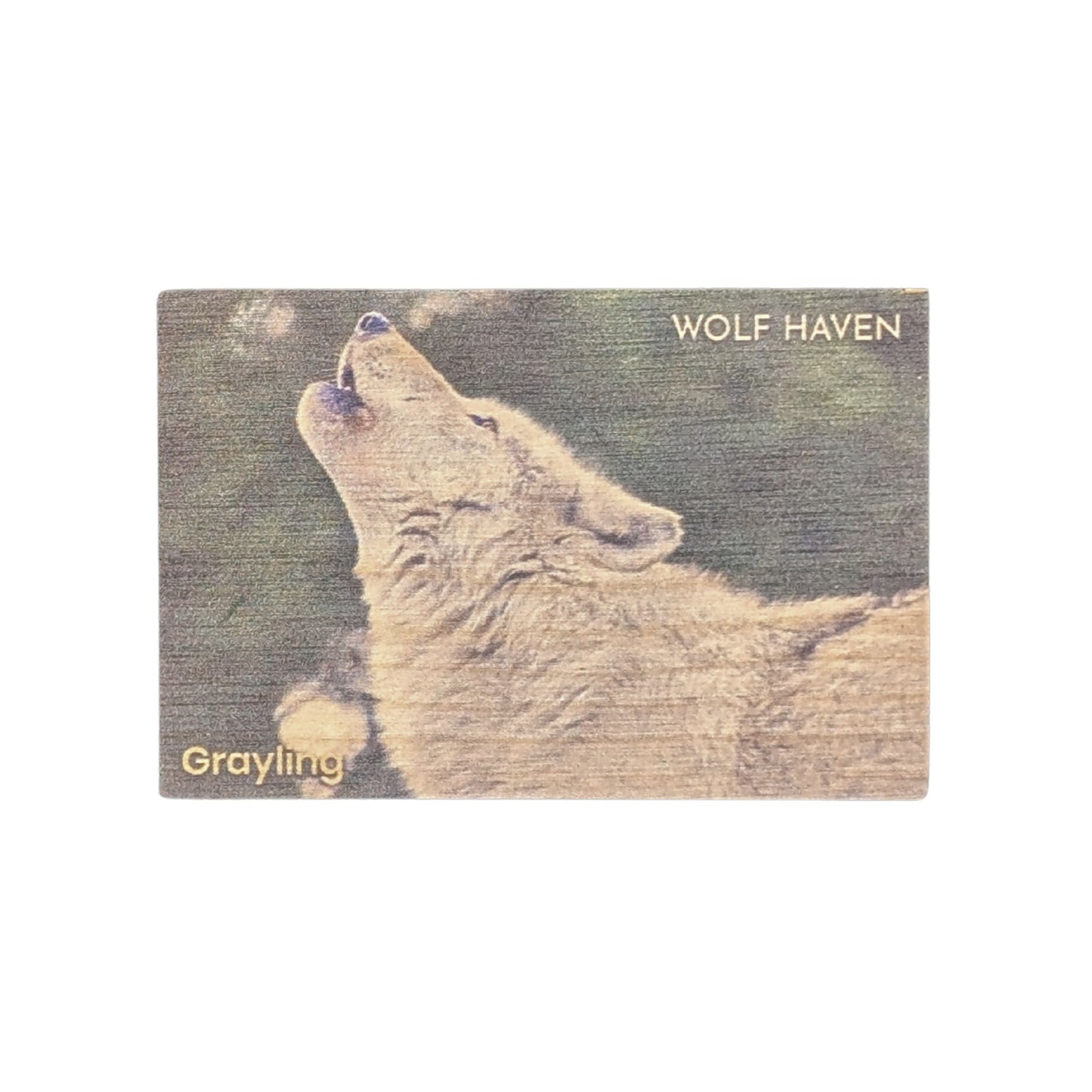 Resident Wolf Wood Magnet