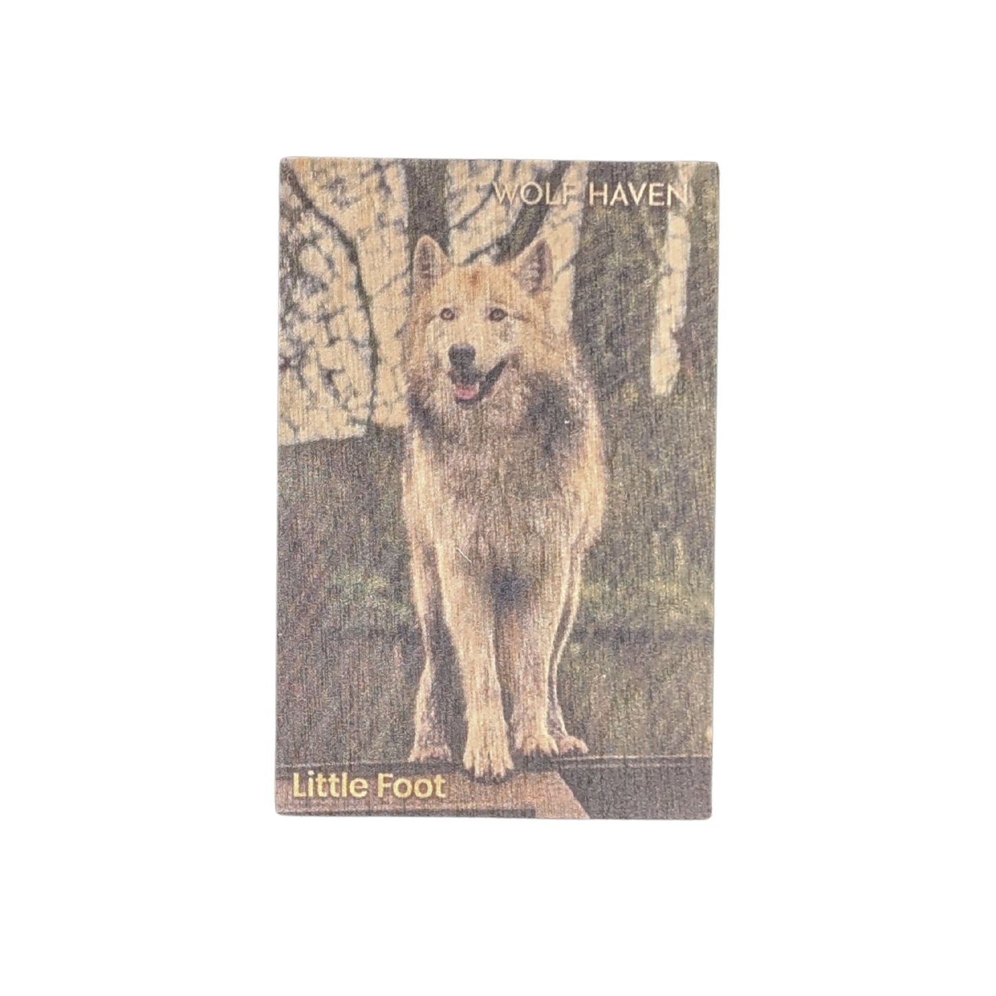 Resident Wolf Wood Magnet