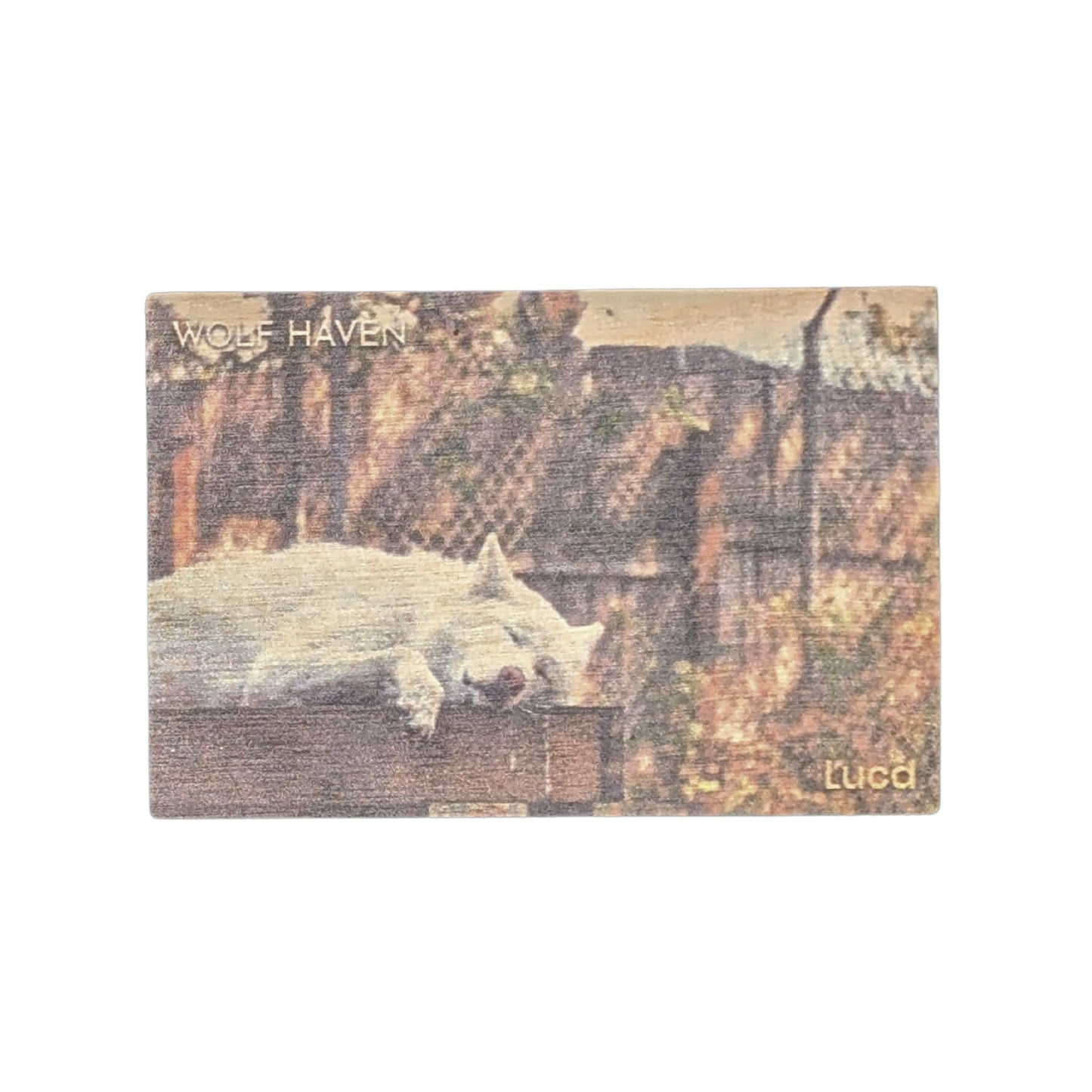 Resident Wolf Wood Magnet