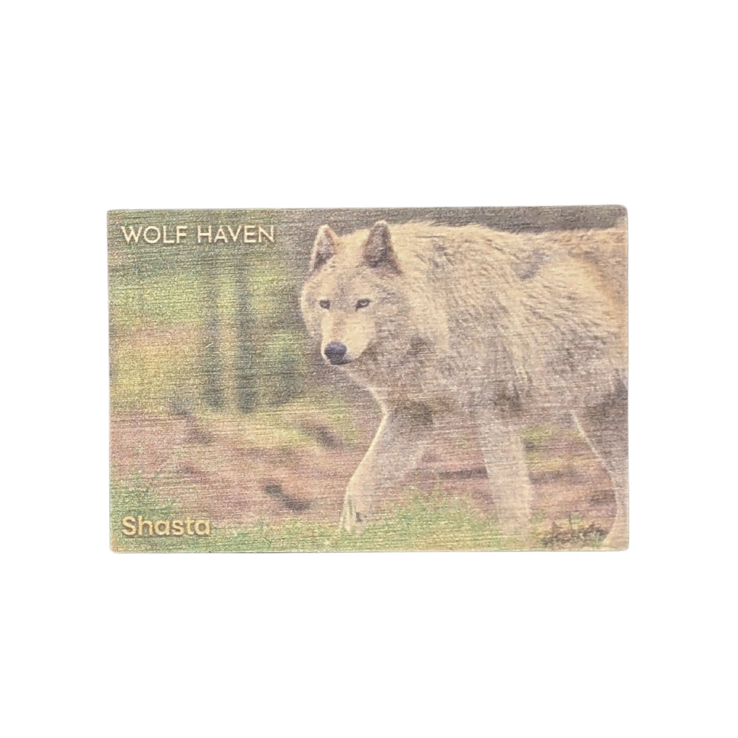 Resident Wolf Wood Magnet