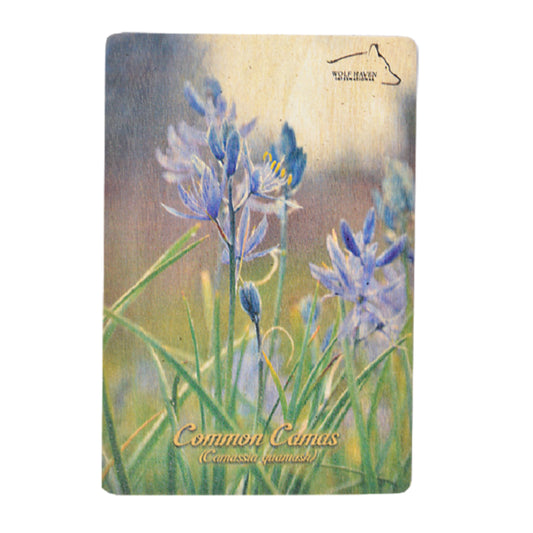 Wooden Postcard