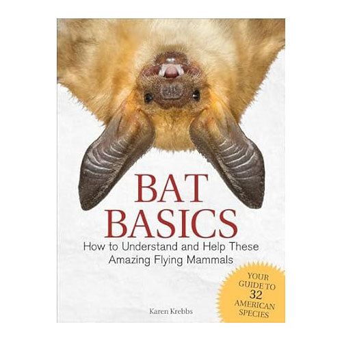 Bat Basics: How to Understand and Help These Amazing Flying Mammals