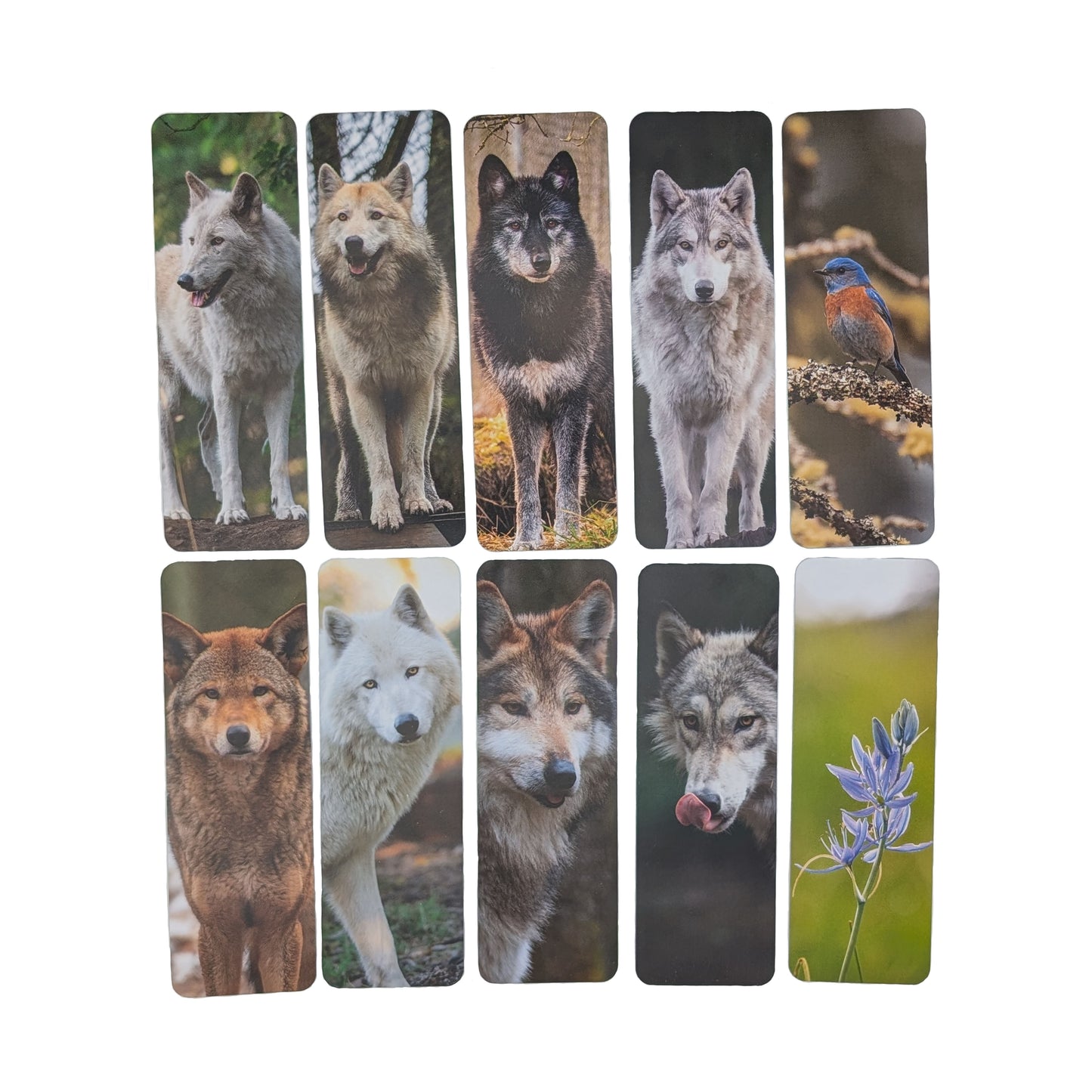 Wolf Haven Bookmark