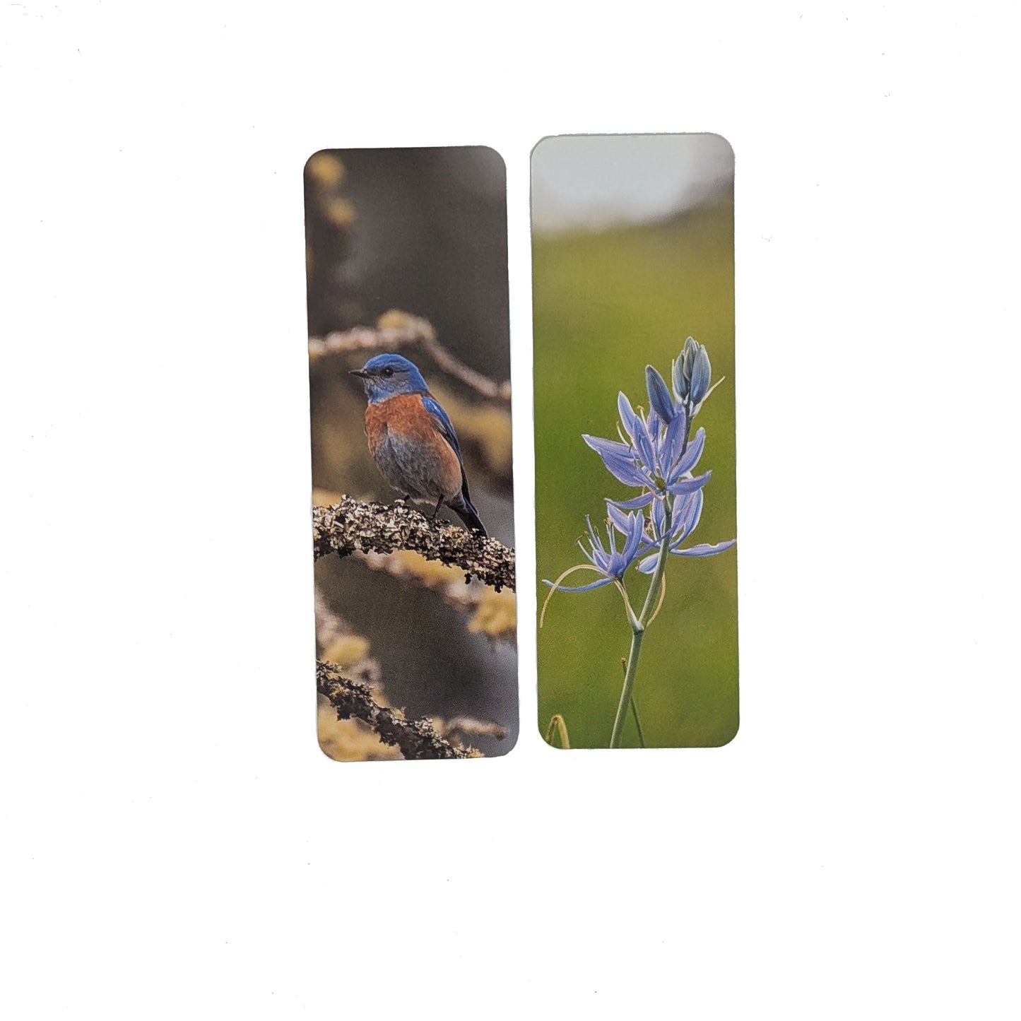 Wolf Haven Bookmark