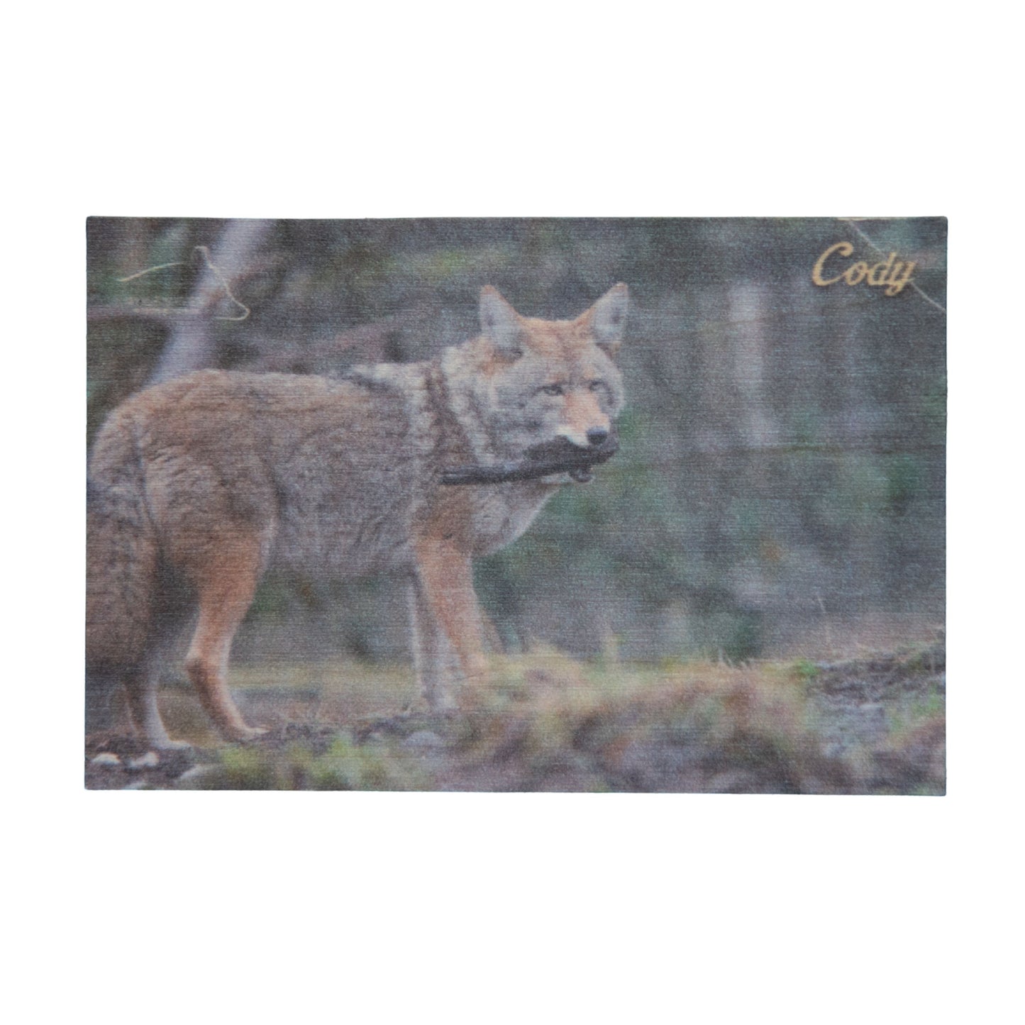 Resident Wolf Wood Magnet