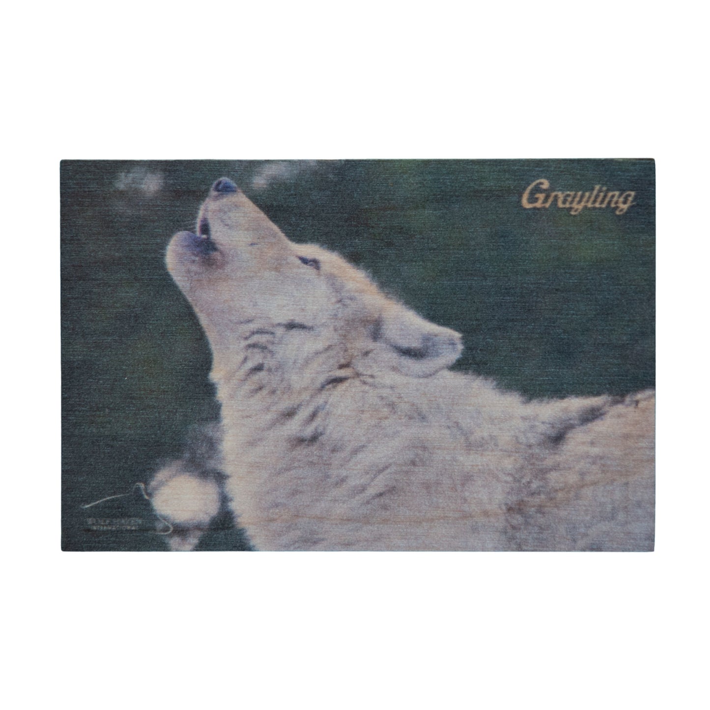 Resident Wolf Wood Magnet