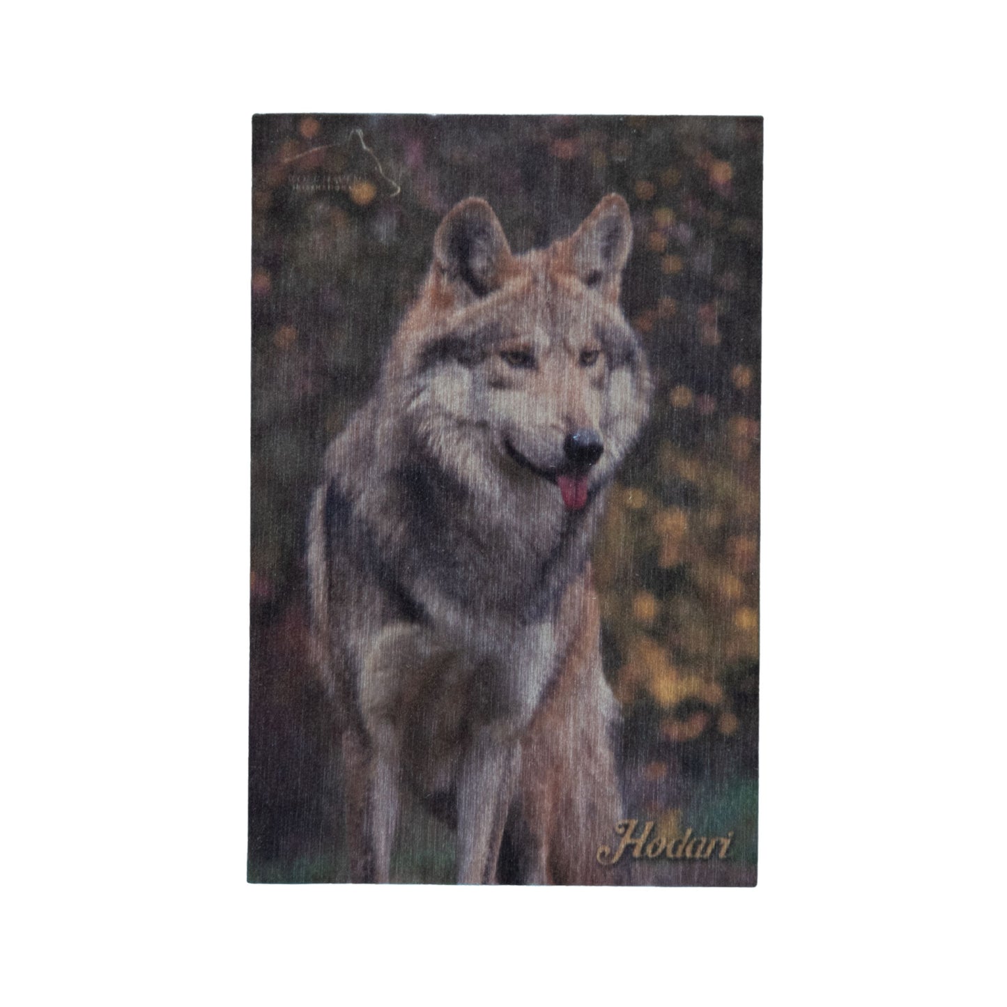 Resident Wolf Wood Magnet