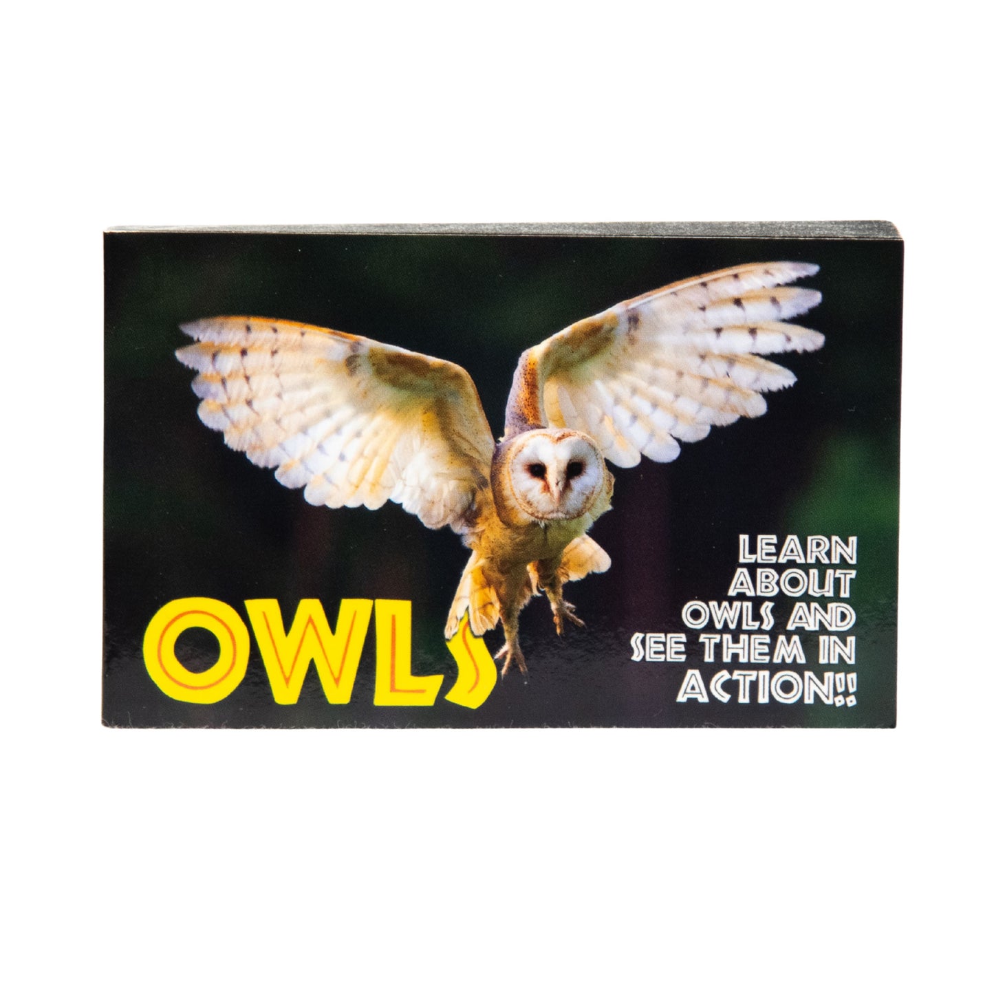 Educational Wildlife Flipbook