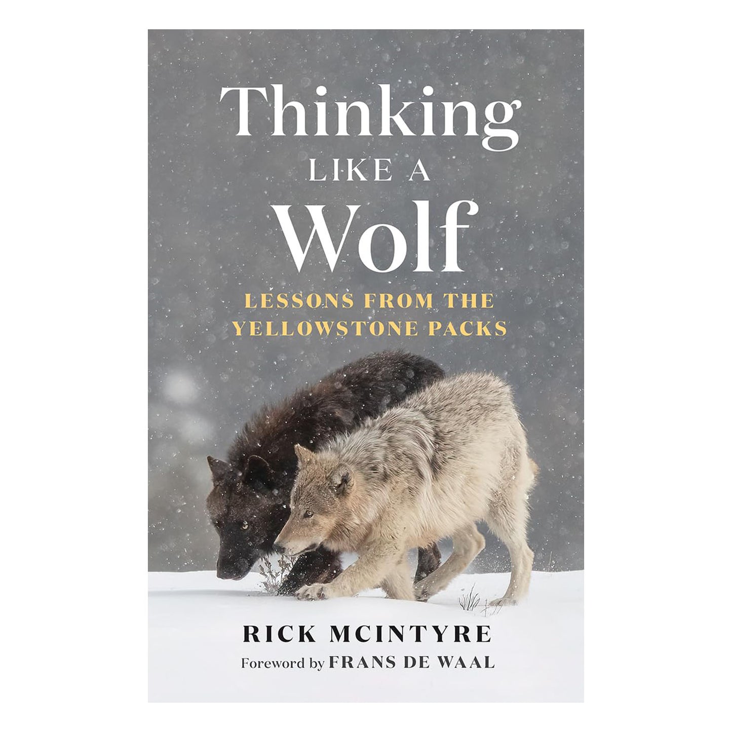 The Alpha Wolves of Yellowstone Series